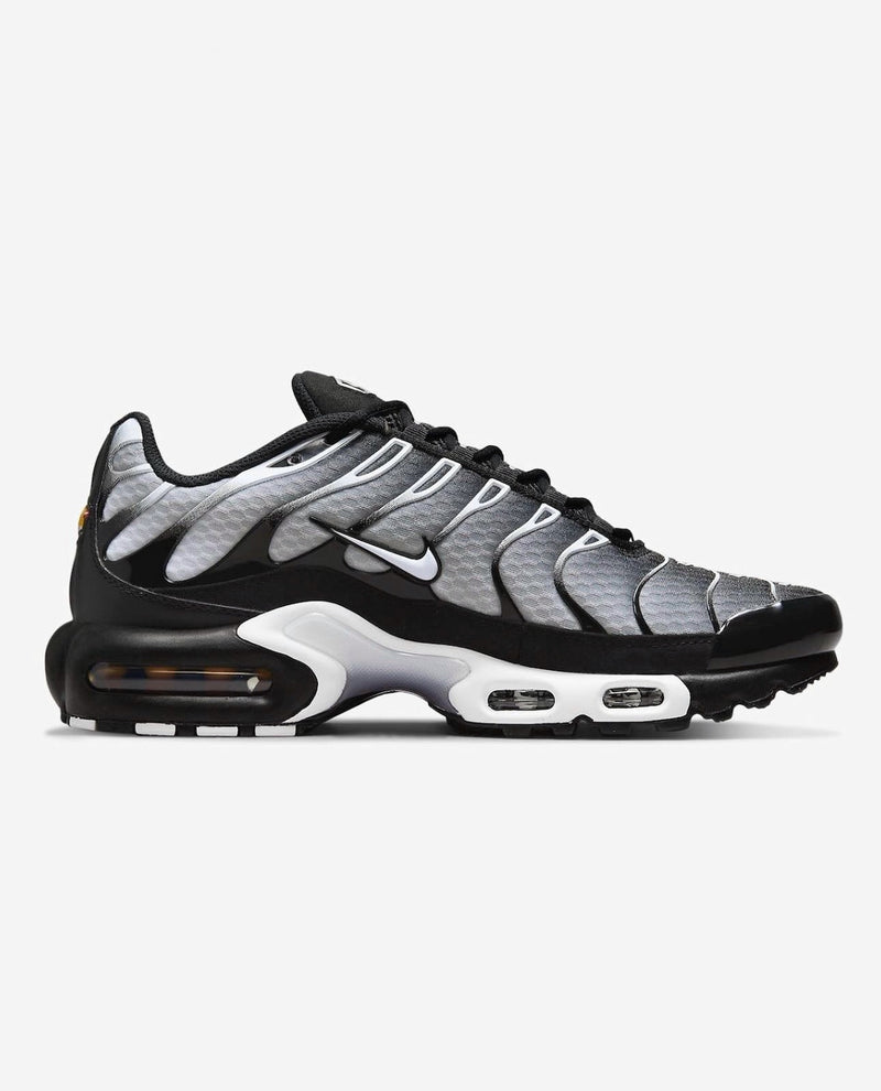 Nike Air Max Plus TN Smoke Faded