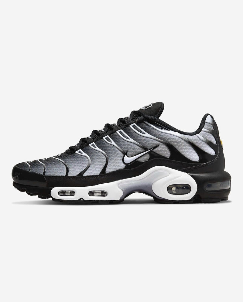 Nike Air Max Plus TN Smoke Faded